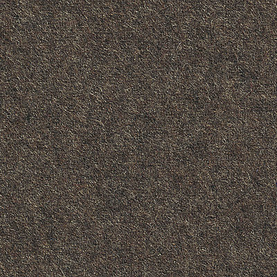 Elizabeth Brown Derby