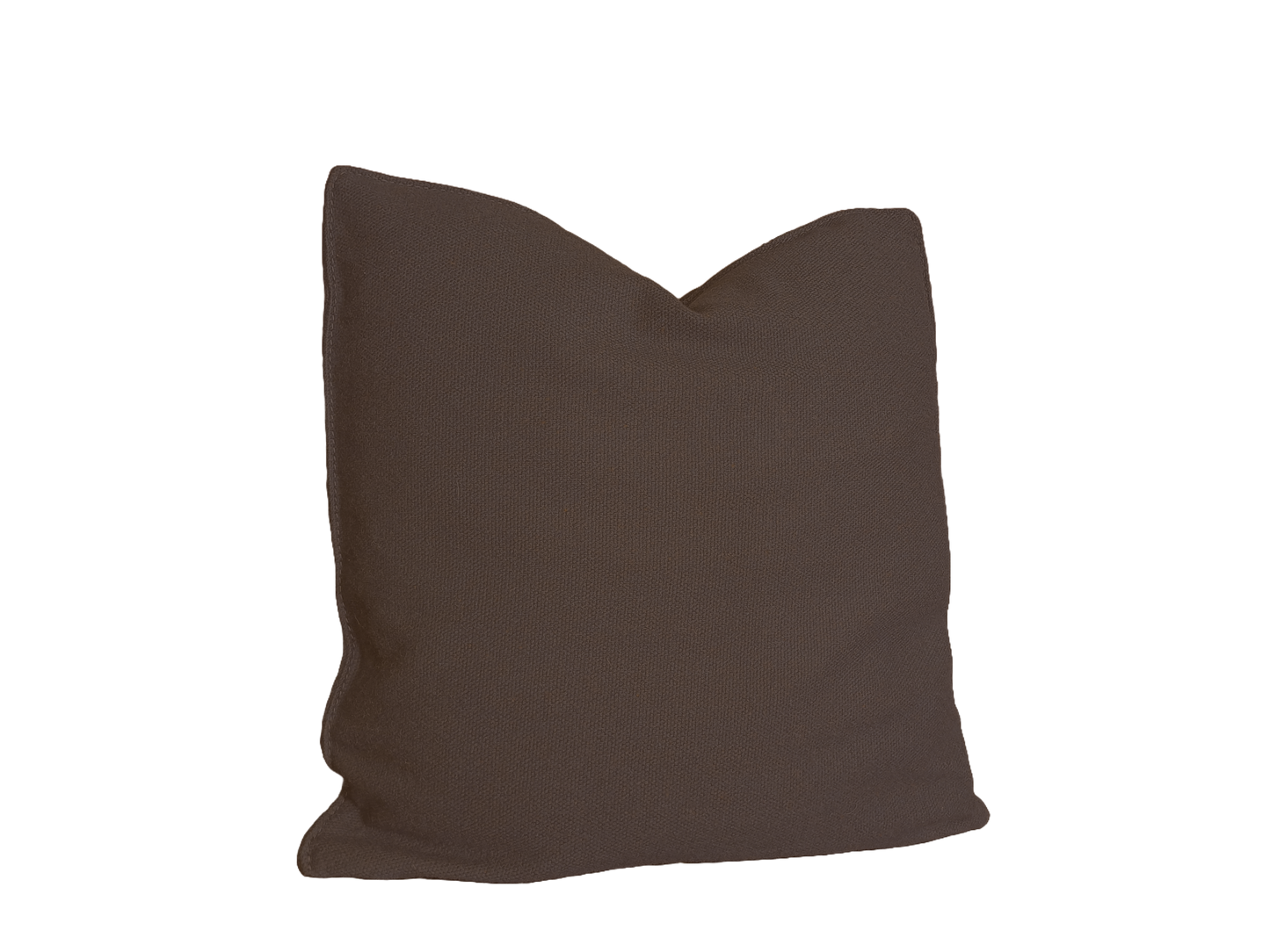 Coussin Indien Tan
