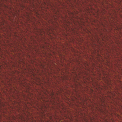 Elizabeth Falu Rouge