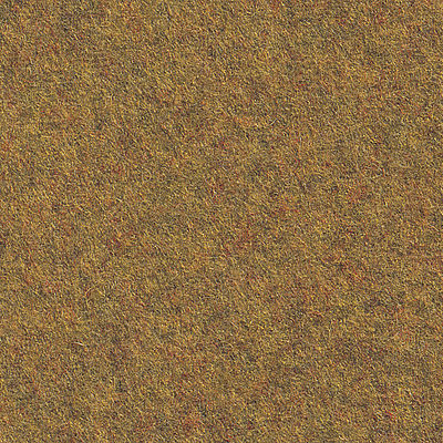 Elizabeth Chaud Grog