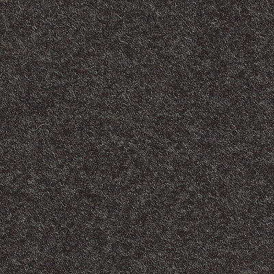 Elizabeth Kilamanjaro