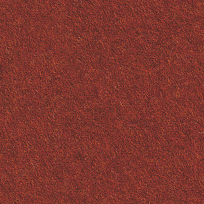 Elizabeth Mandarien Orange