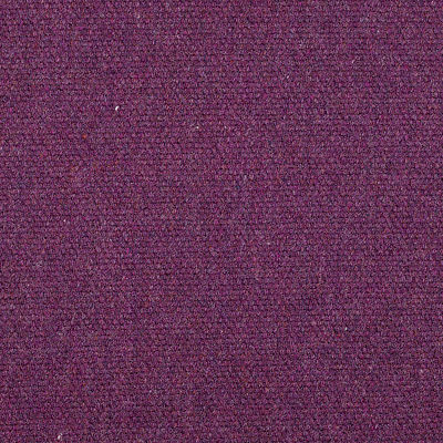 Elizabeth Palatinat Violet