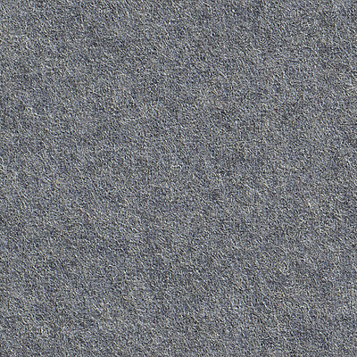 Elizabeth Gris Tempête