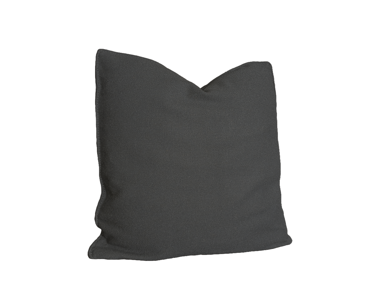 Throw Pillow El Paso
