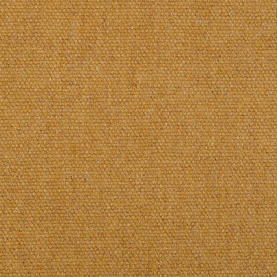 Elizabeth Ochre